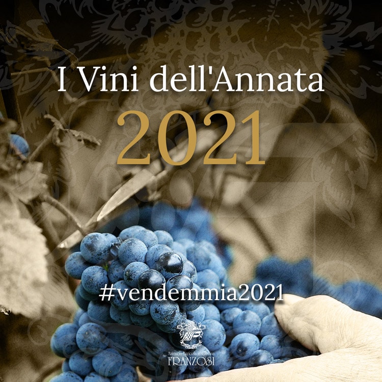 I vini dell'annata 2021