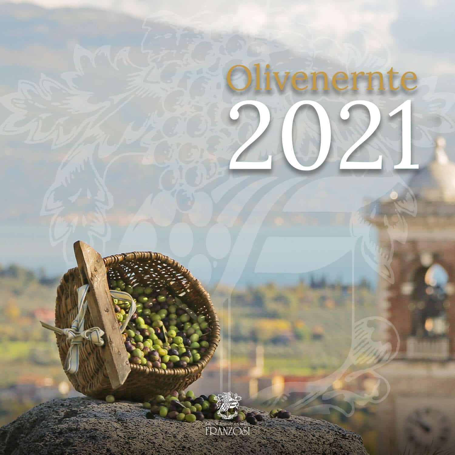 Olivenernte in Valtènesi 2021