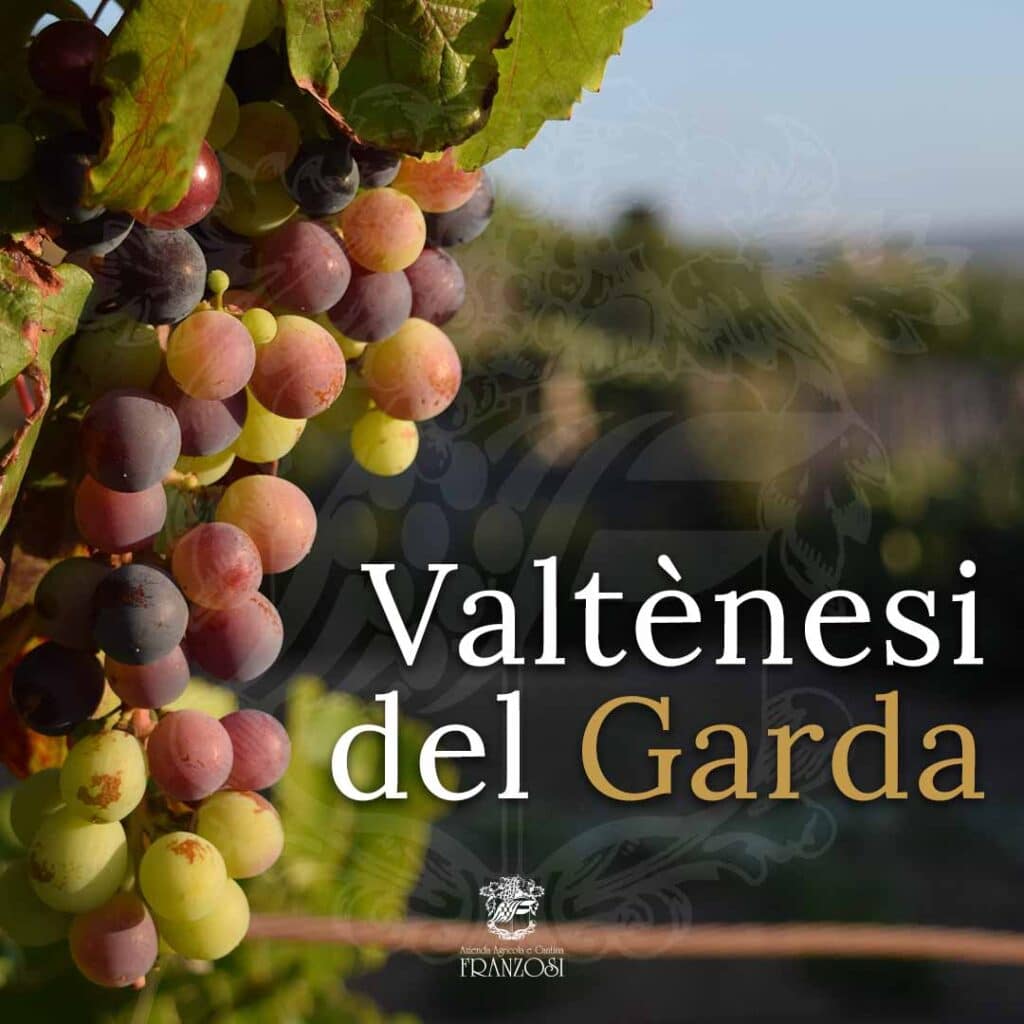 Valtènesi del Garda: ikonisches Weinbaugebiet | Cantine Franzosi