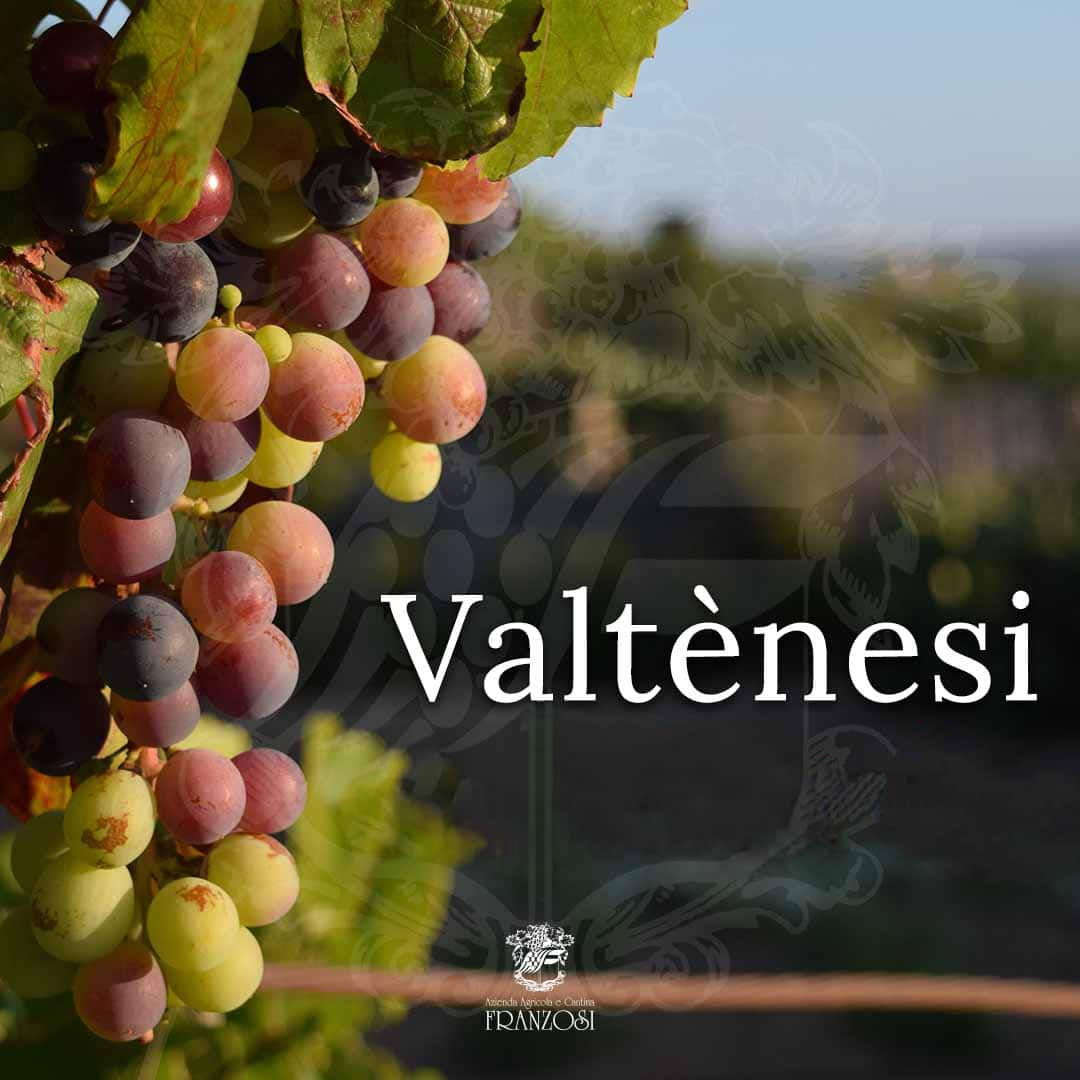 Valtènesi: ikonisches Weinbaugebiet | Cantine Franzosi