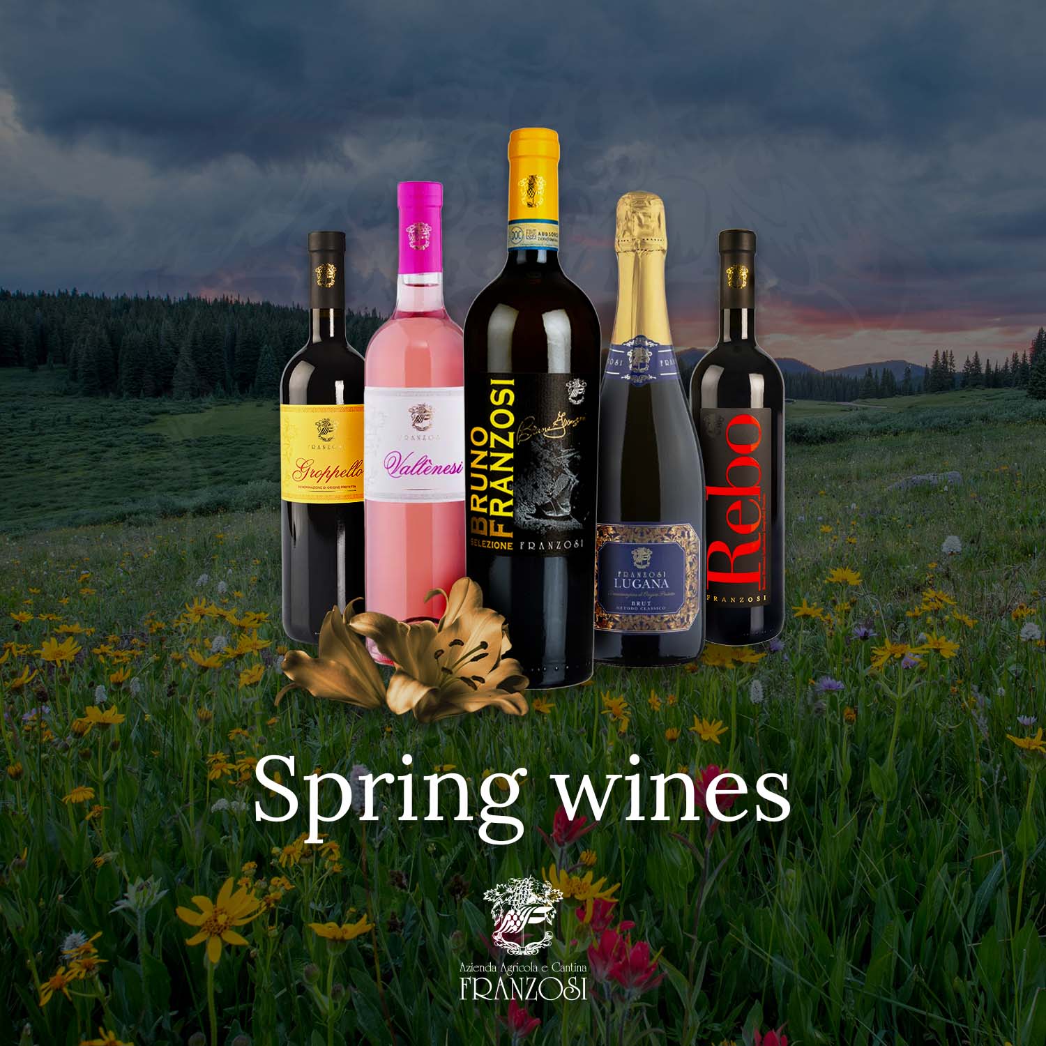 Spring wines - Cantine Franzosi